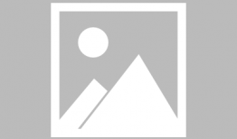 吃瓜协会爆料明星,明星背后的惊人真相大揭秘